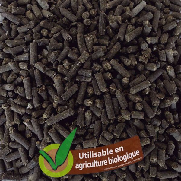 Image sur ORGA-644
